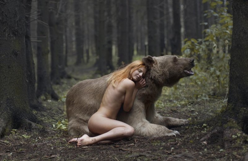 Девушка медведь