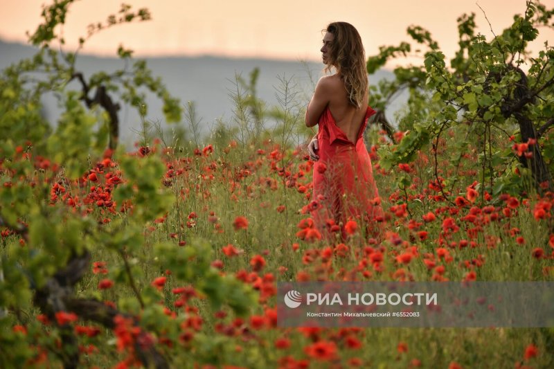 Девушка в поле с цветами