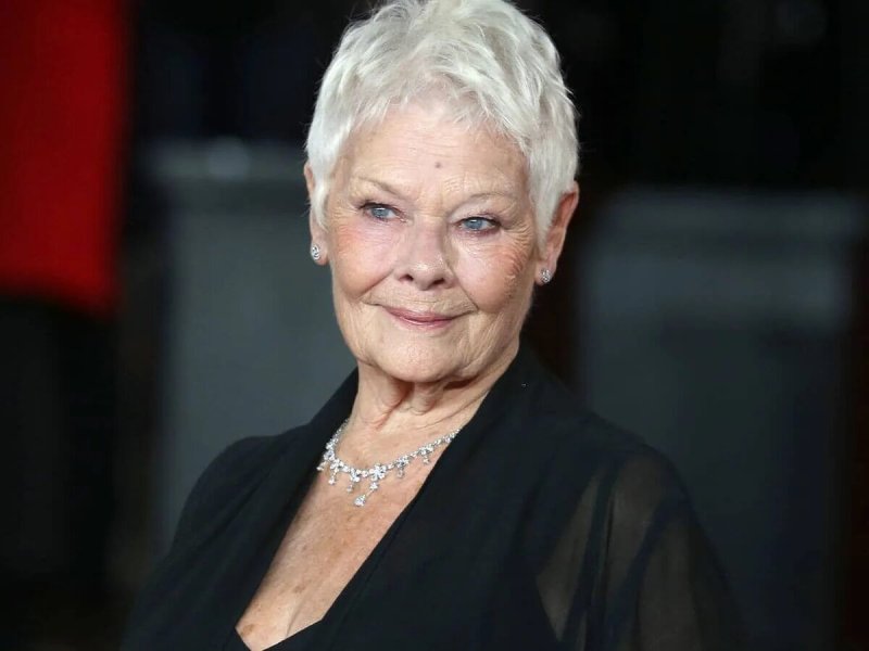 Dame judi dench