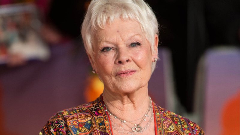 Dame judi dench