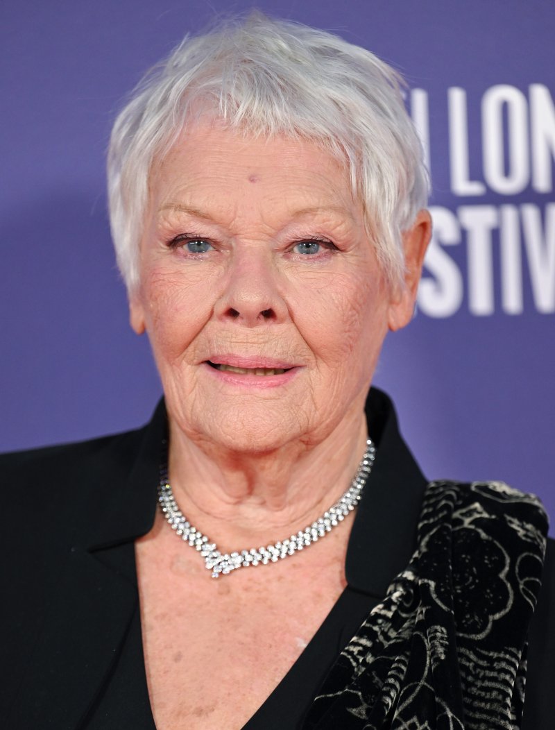 Dame judi dench