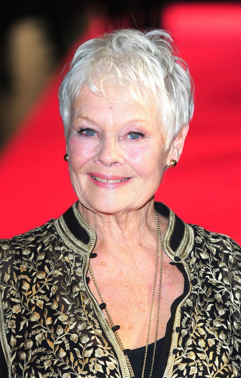 Dame judi dench