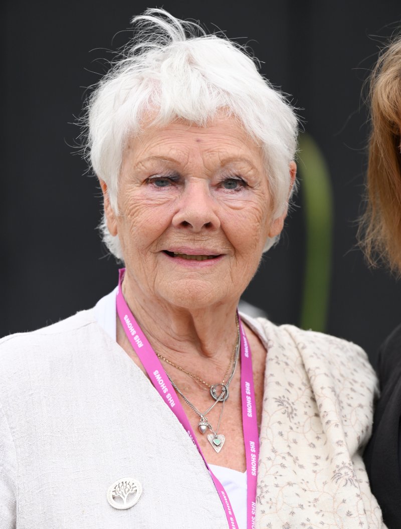 Dame judi dench