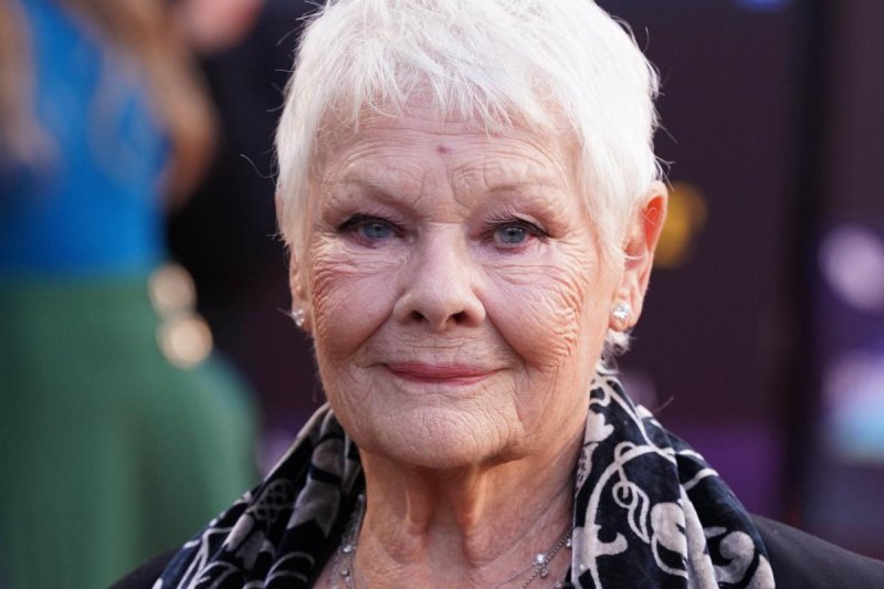 Роза dame judi dench