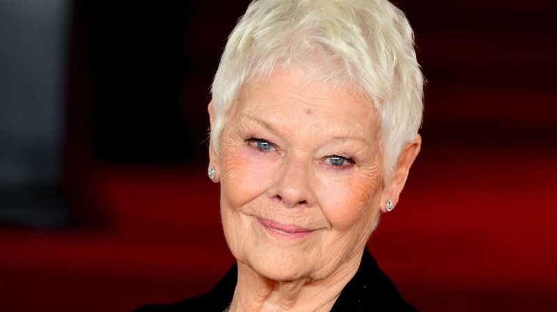 Dame judi dench