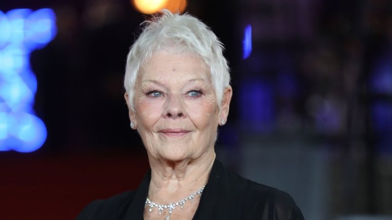 Dame judi dench