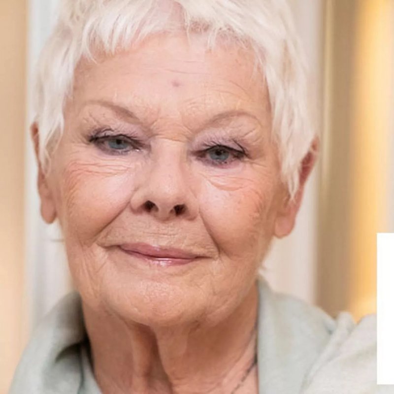 Dame judi dench