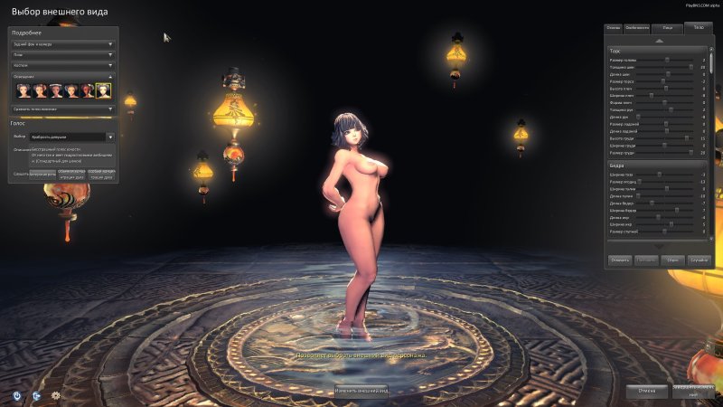 Blade and soul кастомизация