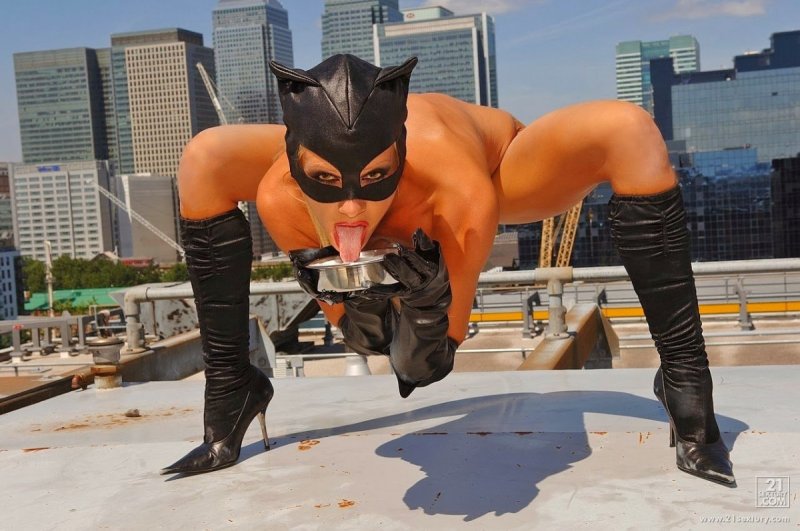 Catwoman холли берри 2