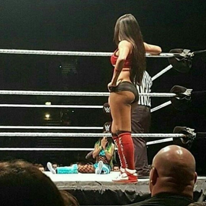 Nikki bella +18