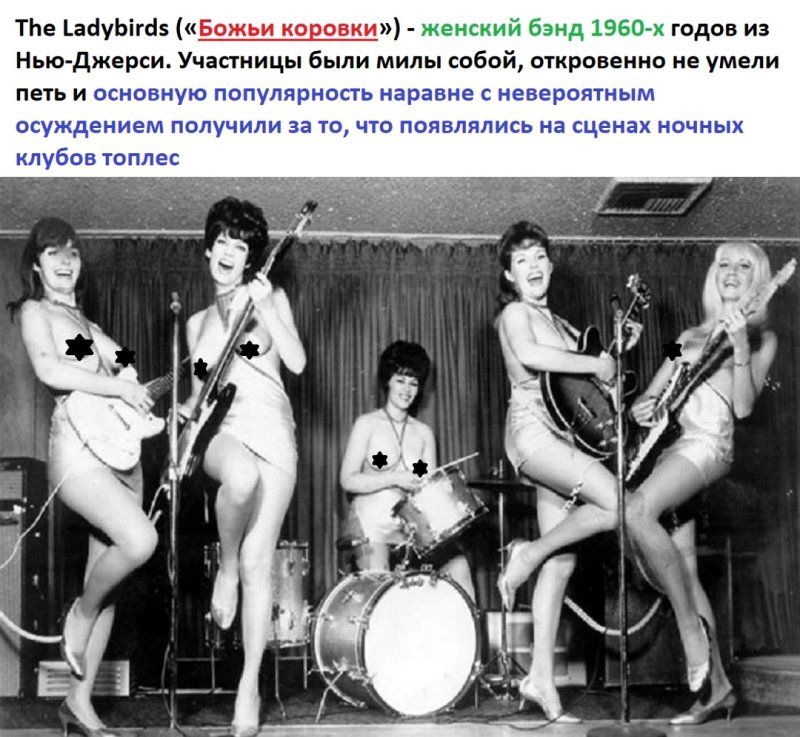 Ladybirds топлесс группа